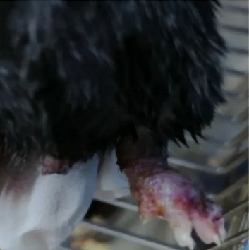 1760345227948383.jpg 10.jpg