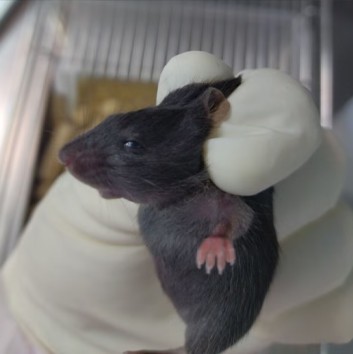 1760345236804172.jpg 12.jpg